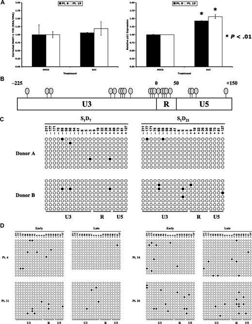 Figure 3. Low-level methylation of CpG residues within the LTR of proviral integrants. (A) Peripheral blood from 4 patients who received MART-1–specific TCR-transduced lymphocytes was harvested 2 months after adoptive transfer. Lymphocytes were isolated and cultured in complete media with low-dose IL-2 (60 IU/mL; MOCK) or with the addition of daily dacitabine (0.3 μmol/L; DAC). Total RNA was isolated after 3 days of ex vivo culture, reverse transcribed, and subjected to real-time PCR for the MART-1 TCR (left panel) or p21 (right panel). Each bar represents an individual patient. (B) Clustering of CpG dinucleotides within the MSCV LTR, where each oval depicts a single CpG site. Numbering is relative to the transcription start site. (C) Genomic DNA from retrovirally transduced lymphocytes of 2 donors was isolated 7 and 21 days after stimulation and bisulfite conversion was performed. A region of clustered CpG residues within the MSCV LTR were amplified by PCR and cloned. Each row represents sequencing of an individual clone, with methylated cytosine residues shown by shaded circles and nonmethylated residues by unshaded circles. (D) Bisulfite sequencing results of lymphocytes from 4 patients at early time points (1-4 weeks) and late time points (2-12 months) in vivo.