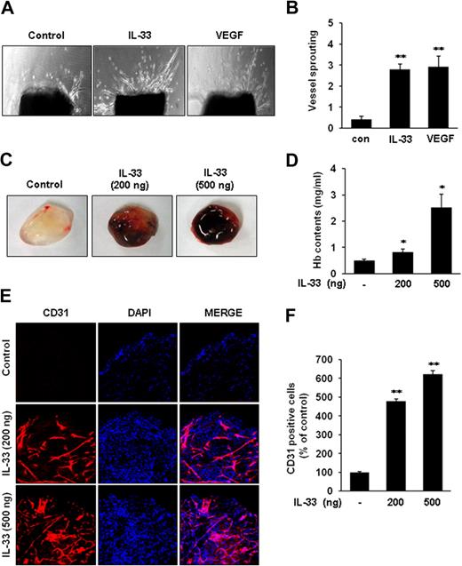 Figure 2. IL-33 induces vessel sprouting ex vivo and angiogenesis in vivo. (A) Aortic segments were harvested from C57BL/6 mice. Aortic segments in Matrigel were treated with IL-33 (100 ng/mL) or VEGF (50 ng/mL) for 2 weeks (n = 5 per group). (B) Sprouting were classified from 0 (least positive) to 5 (most positive) as described in “Aortic ring assay.” (C-F) C57BL/6 mice were injected with 0.6 mL of Matrigel containing IL-33 (n = 6 per group). After 6 days, the mice were killed, and the Matrigel plugs were excised. (C) Representative Matrigel plugs were photographed. (D) Quantification of neovessel formation by measuring hemoglobin in the Matrigel. (E) Plugs were stained for infiltrating ECs by the use of anti-CD31 antibody. (F) Quantitative assessment of CD31+ ECs. Data are means ± SDs; *P < .05, **P < .01 vs untreated control.