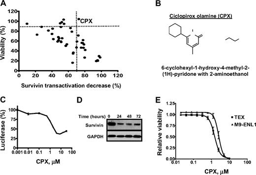 Figure 1. Screens for off-patent drugs with unrecognized anticancer activity identify the antifungal CPX. (A) Compounds (n = 45) identified as hits in a primary screen for inhibitors of the survivin promoter were tested for their effects on survivin transactivation and cytotoxicity in HeLa cells stably overexpressing the survivin promoter driving luciferase. HeLa cells were treated with the hit compounds (5 μM) for 24 hours. After incubation, luciferase expression was measured as described in “Luciferase assay,” and cell viability was measured by the MTS assay. Data represent the percentage of viable cells (y-axis) and the percentage luciferase decrease (x-axis) compared with buffer control. (B) Chemical structure of CPX. (C) HeLa cells stably overexpressing the survivin promoter driving luciferase were treated with increasing concentrations of CPX. Twenty-four hours after incubation, luciferase activity was measured. Data represent the mean percentage of luciferase expression ± SD after CPX treatment compared with buffer control from one of 3 representative experiments. (D) HeLa cells were treated with CPX (5 μM). At increasing times after incubation, cells were harvested and total proteins were isolated. Expression of survivin and GAPDH was measured by immunoblotting. (E) TEX and M9-ENL1 cells were treated with increasing concentrations of CPX. Seventy-two hours after incubation, cell viability was measured by the Alamar Blue assay. Data represent the mean percentage of viable cells ± SD from 1 of 3 representative experiments.