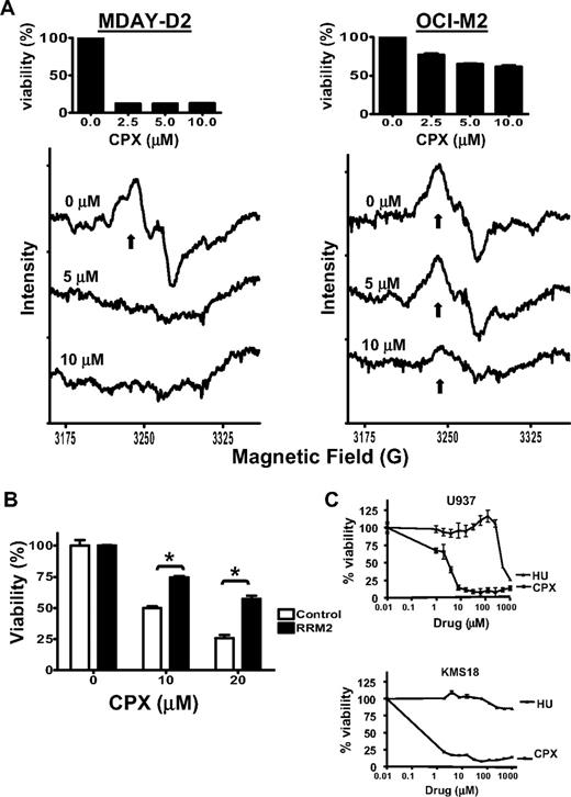 Figure 5. CPX inhibits ribonucleotide reductase. (A) MDAY-D2 and OCI-M2 leukemia cells were treated with CPX (5 and 10 μM) or buffer control for 24 hours. After incubation, cells were harvested, rapidly frozen, and the tyrosyl radical activity (↑) was measured by EPR at a microwave frequency of 9.12 GHz and 77 Kelvin. The averaged of 9 scans is presented. One of 2 representative experiments is shown. (Insets) Mean percentage viability of cells treated with increasing concentrations of CPX. (B) HeLa cervical cancer cells were transfected with cDNA corresponding to RRM2 or vector control and incubated with CPX at increasing concentrations. Seventy-two hours after incubation, cell viability was assessed by the MTS assay. Data represent the mean ± SD percentage viable cells from 1 of 3 representative experiments performed in triplicate; *P < .05 (Student t test). (C) U937 leukemia and KMS18 myeloma cells were treated with increasing concentrations of CPX or hydroxyurea (HU). Seventy-two hours after incubation, cell growth and viability were measured by the MTS assay. Data represent the mean percentage ± SD relative to control cells of 1 of 3 representative experiments performed in triplicate.