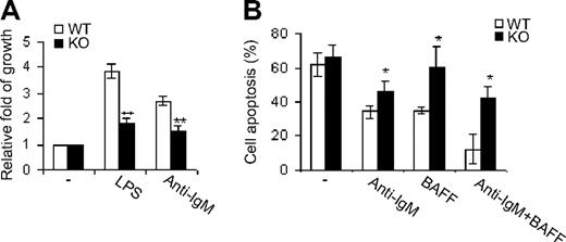 Figure 4. Cdc42 deficiency causes decreased B-cell growth and increased apoptosis. (A) Splenic B cells were purified from WT and Cdc42−/− (KO) mice using CD43 microbeads, and cultured for 48 hours on 96-well plates (2 × 105 cells/well) with no stimulation, or with 2 μg/mL anti-IgM F(ab′)2 antibody or LPS. Cell growth rates were analyzed using a nonradioactive cell proliferation assay kit. Data were expressed as fold of growth relative to the growth rate of unstimulated cells. (B) Purified B cells were cultured for 72 hours on 96-well plates (2 × 105 cells/well) with no stimulation or with 2 μg/mL anti-IgM F(ab′)2 antibody and/or 50 ng/mL BAFF. Cells were then stained with annexin V followed by flow cytometric analysis (**P < .01; *P < .05). Data are means ± SD.
