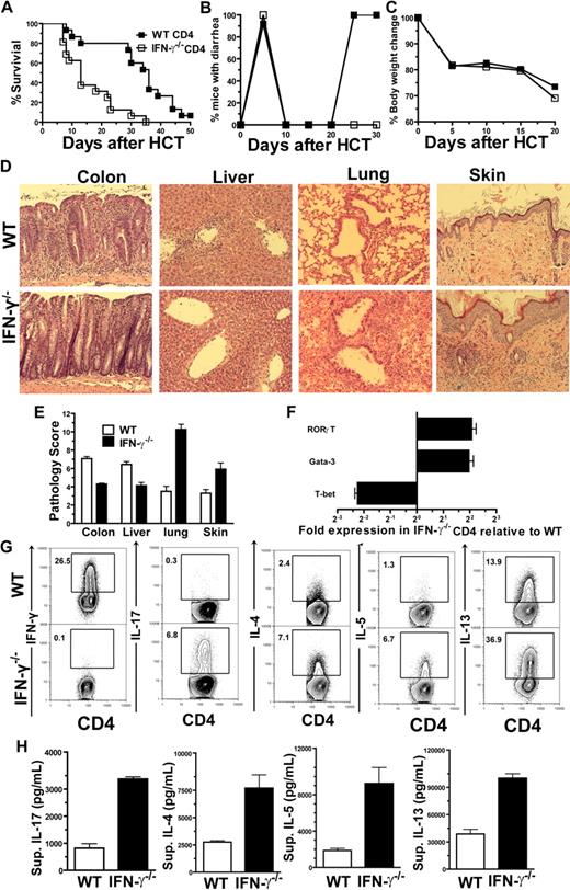 Figure 1. IFN-γ−/− donor CD4+ T cells induced preferential tissue damage in lung and skin in association with augmented differentiation of Th17 and Th2 cells. (A-C) Percent survival, percentage of mice with diarrhea, and body-weight change after HCT. There were 12 mice in each group, combined from 3 replicate experiments. (D-E) Hematoxylin and eosin (H&E) staining of colon, liver, lung, and skin sections of recipients 20 to 25 days after HCT and mean ± SE of histopathology scores (n = 12). (F) Mean ± SE of T-bet, Gata-3, and RORγt expression in sorted splenic CD4+ T cells (purity > 90%) from recipients given IFN-γ−/− donor cells 5 days after HCT (n = 4). Relative gene expression levels were normalized within each sample to GAPDH and were presented relative to the expression of WT control. Data are representative of 2 replicate experiments. (G) Intracellular cytokine profiles of splenic CD4+ T cells 7 days after HCT. Gated CD4+ T cells are shown in CD4 versus cytokines. A representative of 4 replicate experiments is shown. (H) Seven days after HCT, sorted H-2b+CD4+ T cells from the spleen of recipients given WT or IFN-γ−/− donor cells were restimulated with plate-bound anti-CD3/CD28. Mean ± SE of supernatant cytokines 24 hours after culture. These were 4 samples in each group, combined from 2 replicate experiments.