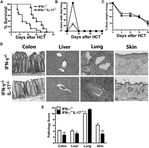Figure 2. IFN-γ−/−IL-17−/− donor CD4+ T cells induced little tissue damage in gut, liver, and skin, but severe damage in lung. (A-C) Percent survival, percentage of mice with diarrhea, and body-weight change after HCT. There were 12 mice in each group, combined from 3 replicate experiments. (D-E) H&E staining of colon, liver, lung, and skin tissue sections of recipients 20 to 25 days after HCT and mean ± SE of histopathology scores (n = 12).