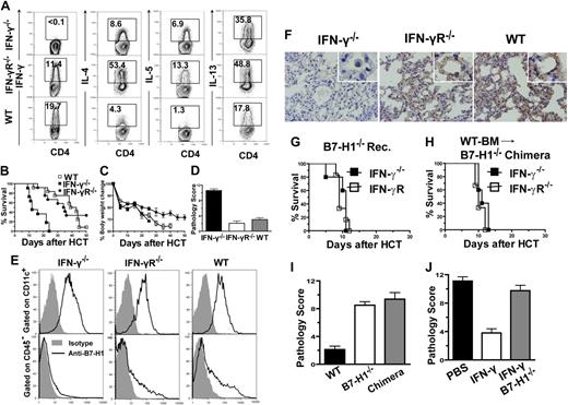 Figure 6. Lack of host lung tissue expression of IFN-γ–inducible B7-H1 contributed to Th2-mediated idiopathic pneumonia. (A) Intracellular cytokine profiles of splenic CD4+ T cells 10 days after HCT. Gated CD4+ T cells are shown in CD4 versus cytokines. Representative of 4 replicate experiments is shown. (B-C) Percent survival and body-weight change of recipients after HCT. There were 12 mice in each group, combined from 3 replicate experiments. (D) Mean ± SE of histopathology scores (n = 6). (E) Ten days after HCT, cells from lungs of recipients were stained for CD45, CD11c, and B7-H1 or isotype control. Gated CD11c+ or CD45− cells were shown in histogram for B7-H1 or isotype control. Representative of 3 replicate experiments is shown. (F) Immunohistochemical staining of B7-H1 in lung tissues harvested 6 days after HCT. One representative picture of 3 replicate experiments is shown. (G-H) IFN-γ−/− or IFN-γR−/− donor cells were transplanted into B7-H1−/−, or B7-H1−/− chimera recipients. Percent survival curves are shown. There were 6 to 8 mice in each group, combined from 2 replicate experiments. (I) IFN-γR−/− donor cells were transplanted into WT, B7-H1−/−, or B7-H1−/− chimera recipients. Mean ± SE of histopathology scores is shown (n = 6). (J) IFN-γ−/− donor cells were transplanted into WT or B7-H1−/− recipients with or without injection of recombinant IFN-γ. Mean ± SE of histopathology scores is shown (n = 6).