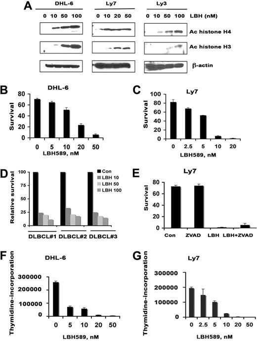 Figure 3. Effect of LBH on survival, proliferation, and histone acetylation in diffuse large B-cell lymphoma cells. (A) DHL-6, Ly7, and Ly3 cells were treated with indicated concentrations of LBH589 for 24 hours. Western blot analysis of acetylated histones H3 and H4 were performed using specific antibodies. (B-C) DHL-6 and Ly7 diffuse large B-cell lymphoma (DLBCL) cells were treated with indicated concentrations of LBH589 for 48 hours and survival was assessed by annexin V/PI staining by flow cytometry. Data from 1 representative experiment are shown for each cell line (n = 3). (D) Primary cells from DLBCL patients were treated with various doses of LBH589 and survival was assessed by annexin V/PI staining. (E) LY7 cells were pretreated with 50 μM Z-VAD-fmk alone or with LBH589 (50 nM) for 48 hours, and survival was assessed by annexin V/PI staining. (F-G) DHL-6 and Ly7 cells were treated with indicated doses of LBH589 for 48 hours and cell proliferation was assessed by 3H-thymidine incorporation. Error bars indicate mean ± SD from 3 determinations.