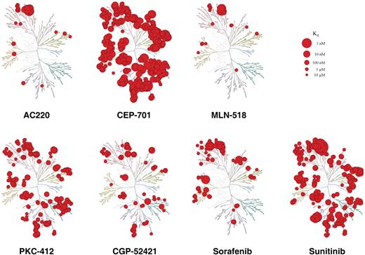 Figure 2. Small molecule kinase interaction maps for FLT3 inhibitors. Compounds were screened against a KinomeScan (http://www.kinomescan.com) panel of 402 kinase assays. Red circles indicate kinases bound, and circle size indicates binding affinity. Interactions with Kd < 3 μM are shown. The complete dataset is shown in supplemental Table 1, and is also available through an interactive website (http://www.ambitbio.com/technology/publications). The data for MLN-518, PKC-412, sunitinib, and sorafenib against a subset of 317 of the 402 assays were previously published,44 and are reproduced here together with new data for assays not represented in the earlier panel. The kinase dendrogram was adapted and is reproduced with permission from Cell Signaling Technology Inc (http://www.cellsignal.com).