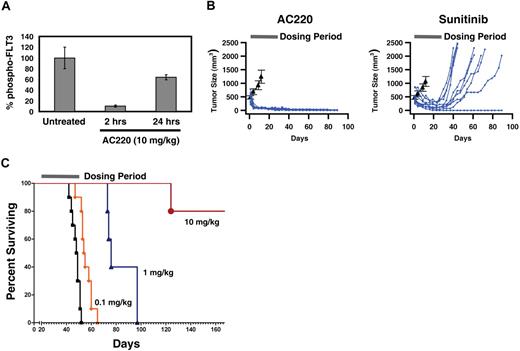 Figure 4. In vivo efficacy of AC220 in animal tumor models. (A) Inhibition of FLT3 activity in subcutaneous tumor xenografts. Total and phospho-FLT3 were quantitated in lysates from tumors harvested at each time point, and phospho-FLT3 levels normalized relative to the total amount of FLT3. Normalized phospho-FLT3 levels are shown as a percentage of levels in untreated animals. Each group contained 4 animals. (B) Comparison of antitumor efficacy of AC220 and sunitinib in the subcutaneous tumor model at a dose of 10 mg/kg. Day 1 of the study was the first day of treatment, when tumors had reached a size of 450 to 600 mm3. The solid bar indicates the 28-day treatment period. Tumor size was monitored for an additional 61 days after treatment was discontinued, and total study length was 89 days. Each treatment group contained 10 animals, and the time course of tumor size for each individual animal is shown in blue. The average tumor size in the vehicle control groups is shown in black (± SEM) for comparison. Animals were killed if tumor volume reached 1000 mm3. (C) Efficacy of AC220 in a bone marrow transplant model. Kaplan-Meier plots of survival. Day 1 of the study was the day after cells were implanted. The solid bar indicates the treatment period of 30 days. Each treatment group contained 5 animals. Data for the vehicle control group are shown as ■. The study was terminated on day 172.