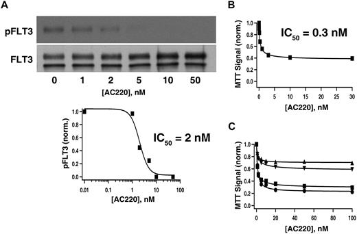 Figure 5. Activity of AC220 in primary AML cells. (A) Inhibition of FLT3 phosphorylation. Blasts were incubated in increasing concentrations of AC220 with 10% FBS for 1 hour at 37°C. For the Western blot, cell lysates were subjected to immunoprecipitation, sodium dodecylsulfate polyacrylamide electrophoresis, and immunoblotting for phosphorylated and total FLT3. As is frequently observed in patient samples for which limited numbers of cells are available, phospho-FLT3 (pFLT3) levels are relatively low and only weakly detected by Western blot. Robust quantitation of phospho-FLT3 was achieved by a more sensitive ELISA (“Cellular assays”). The graph shows phospho-FLT3 levels, normalized for total FLT3, obtained by ELISA. The line represents a fit of the data to the Hill equation. (B) Effect of AC220 on cell viability. In parallel to the phosphorylation assay, using the same AC220 medium preparation, blasts from the same patient and the same thawing were incubated at 37°C in 5% CO2. After 72 hours, the 3-(4,5-dimethylthiazol-2-yl)-2,5-diphenyltetrazolium assay was performed, and the results were plotted as a fraction of untreated control. The line represents a fit of the data to the Hill equation. (C) Effect of AC220 on cell viability in primary cell samples from additional patients. The experiments were performed and the data are plotted as in panel B. The primary cells were obtained from a 65-year-old male (■; IC50 = 0.8 nM), a 53-year-old male (▲; IC50 = 1 nM), a 56-year-old female (●; IC50 = 1 nM), and a 34-year-old male (▼; IC50 = 2 nM), all with relapsed AML harboring FLT3-ITD mutations.