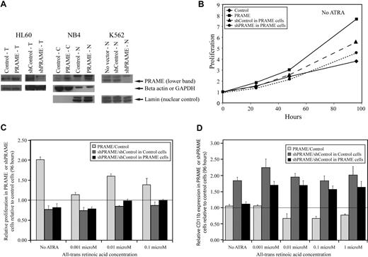 Figure 2. PRAME expression in all-trans retinoic acid–responsive leukemia cell lines increases proliferation and inhibits granulocytic differentiation. (A) PRAME protein expression is shown in HL60, NB4, and K562 cells by Western blotting. PRAME protein overexpression by lentiviral PRAME expression vector transduction is shown in total cell lysates (T) from HL60 cells and in both cytoplasmic (C) and nuclear (N) lysates from NB4 cells. PRAME silencing using lentiviral vectors containing short-hairpins targeting PRAME is shown in T-cell lysates in HL60 cells and N lysates in K562 cells. In the HL60 cells shown here, PRAME was silenced in HL60 cells overexpressing PRAME protein. Lamin served as the nuclear control; beta actin and GAPDH served as the cytoplasmic or total lysate control. (B) PRAME-overexpressing HL60 cells (PRAME) proliferated more rapidly than control cells (Control) over 96 hours. When PRAME was silenced in these PRAME-overexpressing cells (shPRAME), proliferation decreased compared with control cells (shControl). PRAME cells are PRAME-overexpressing cells; control cells are the empty vector control. PRAME was silenced (shPRAME) in both PRAME-overexpressing cells and the corresponding empty vector–transduced cells. shControl is a hairpin that targets GFP. (C) The increase in proliferation in HL60 PRAME cells relative to control cells (P < .001) as well as the decrease in proliferation of shPRAME HL60 cells relative to shControl HL60 cells (P = .06 in PRAME-overexpressing cells and P < .001 in control HL60 cells) were seen both in the absence and presence of increasing concentrations of all-trans retinoic acid (ATRA). For simplicity, proliferation in PRAME or shPRAME cells is shown relative to the corresponding control cell line (experimental condition/control condition). Thus, the line at 1.00 indicates the expected ratio if there is no difference. Data at 96 hours are used and show the mean of 3 independent experiments. The P values, however, were calculated using all data (ATRA and no ATRA) at 0, 24, 48, 72, and 96 hours. (D) Granulocytic differentiation as measured by CD11b expression over time was inhibited in PRAME-overexpressing HL60 cells. PRAME cells expressed significantly less CD11b over time than control cells at various ATRA concentrations (P = .003). When PRAME was silenced in these PRAME-overexpressing cells as well as the empty vector control cells, CD11b expression was greater in shPRAME cells compared with shControl cells in both the PRAME-overexpressing cell line and the control vector cell line (P < .001 for both). The ratio of CD11b expression in PRAME or shPRAME cells is shown relative to CD11b expression in control or shControl cells (experimental percentages CD11b/control percentage CD11b) after 96 hours. The line at 1.00 indicates the expected ratio if there is no difference.