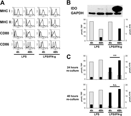 Figure 1. Characterization of maturation status and IDO competence in human monocyte-derived DCs activated with LPS with or without IFN-γ for different time periods. (A) DCs after activation with LPS only or LPS in combination with IFN-γ for different time periods were examined for the expression of cell-surface molecules of DCs typically associated with maturation (shaded histograms indicate isotype control; open histograms, DCs after activation). One representative of 10 similar experiments is shown. (B top) IDO protein expression in differently activated DCs was examined by immunoblot analysis; (bottom) the concentrations of tryptophan (TRP; ▩; left scale) and kynurenine (KYN; ■; right scale) in cell culture supernatants of the differently activated DCs were determined at the termination of the activation period. Results of 1 of 10 similar experiments are shown. (C) The concentrations of TRP and of KYN were examined as in panel B in cell culture supernatants 24 hours (top) and 48 hours (bottom) after removal of the activating agents and reculture in fresh medium. Results of 1 experiment, representative of 10 experiments, are shown; **P < .01; n.s. indicates not significant.