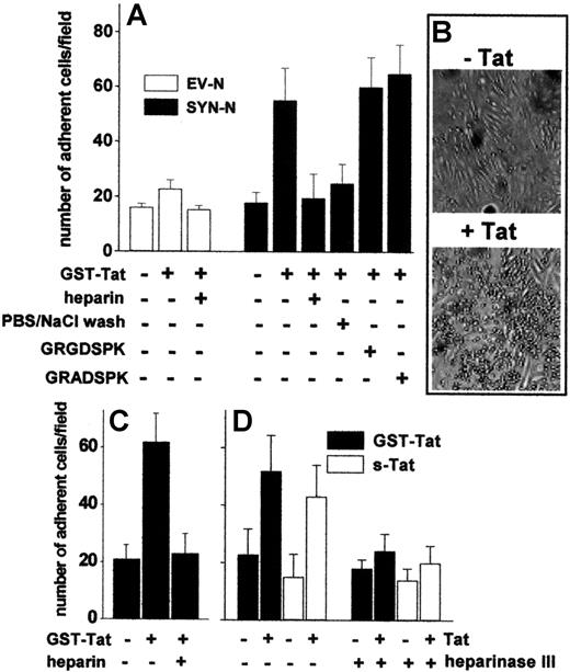 Figure 3. Tat tethered to the EC surface promotes Namalwa cell adhesion. Namalwa cells were allowed to adhere to naive or Tat-coated living (A,B,D) or fixed (C) GM7373 EC monolayers in the presence of heparin (73 nM), of GRGDSPK or GRADSPK peptides (10 μΜ), or after a wash with PBS/NaCl. (D) GM7373 EC monolayers were left untreated or treated with heparinase III (10 mU/mL), washed, further incubated with GST-Tat or s-Tat (550 nM), and assayed for their capacity to promote SYN-NC adhesion. Each point is the mean ± SEM of 4 to 7 duplicate determinations. (B) Microphotographs of SYN-NCs adherent to naive (−Tat) or Tat-coated (+Tat) GM7373 EC monolayer.