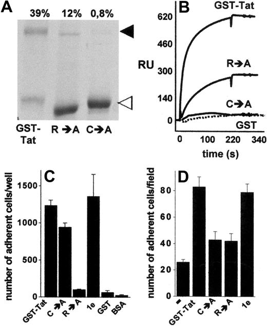 Figure 5. Homodimerization of Tat is required to mediate Namalwa cell adhesion to the endothelium. (A) Aliquots (5 μg) of the indicated recombinant forms of GST-Tat were analyzed in nonreducing 12% sodium dodecyl sulfate–polyacrylamide gel electrophoresis and visualized by blue Coomassie staining. ◀ and ◁ point to the 72-kDa homodimer and to the monomeric form of Tat, respectively. (Top of panel) Percentage of Tat that underwent dimerization as calculated by densitometric measurement of the bands. (B) Overlay of blank-subtracted sensograms showing the binding of the indicated proteins (500 nM) injected over a BIAcore sensor chip coated with s-Tat. The SPR signal was expressed in terms of resonance units (RU). (C) SYN-NCs were allowed to adhere to plastic coated with the indicated proteins (550 nM). Then, adherent lymphocytes were counted. Each point is the mean ± SEM of 3 to 8 duplicate determinations. (D) GM7373 EC monolayers were preincubated without (−) or with the indicated proteins (550 nM), washed to remove unbound proteins, and assayed for their capacity to promote SYN-NC adhesion.