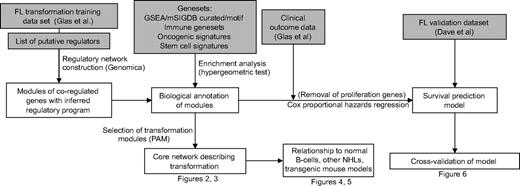 Figure 1. Overview of analysis. A module network was constructed from expression data on FL/DLBCL-t7 using Genomica. Modules were annotated by comparison with curated gene sets, and a core network, putatively underlying transformation, was identified that involved differentiation/stem cell–related transcriptional programs. We selected modules for incorporation into a survival model using stepwise regression. The survival model was validated in an independent set from a different group.11 Survival analysis based on core modules was performed with and without proliferation genes.