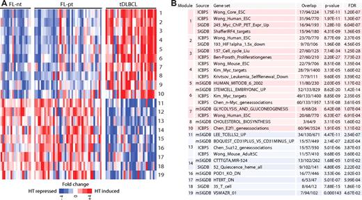 Figure 2. Modules associated with HT are enriched for ESC-like gene expression signatures. In a sample (column), each module (row) is represented by the mean expression of its component genes (“metagene”). (A) PAM was used to compare FL-pt with DLBCL-t, and modules were ordered by significance, according to their PAM score. Also shown for comparison are the FL-nt samples. There is no coherent differential expression of these modules between transforming and nontransforming FL. (B) Selected associations between transformation-related modules learned from expression data and predefined gene sets as determined by hypergeometric test with permutation correction for multiple hypothesis testing (supplemental Tables 1,4). Except for module 3, FDR values shown here are for gene sets with cell-cycle and proliferation-related genes removed.