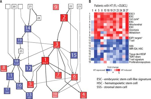 Figure 3. A core network of ESC-related modules defines expression changes in HT. (A) A core network representing HT was constructed by extracting 19 modules that distinguished DLBCL-t from FL-pt from the full network of 200 modules. Nodes in red indicate modules that are typically up-regulated in DLBCL-T, whereas blue nodes are modules more highly expressed in FL-pt. Stronger coloring and larger size of modules represent the mean fold change in expression between FL-pt and DLBCL-T. White nodes are modules that were not part of the 19-module classifier but are connected to them in the network. Unnumbered modules did not have a significant gene set annotation. Module 9 distinguishes FL-pt from DLBCL-T but is not directly connected to the other core modules in the network. (B) Fold changes for expression of each of the 19 core HT modules were obtained by comparing 12 paired (before and after HT) patient samples in the Glas et al dataset.7 ESC indicates embryonic stem cell signature; HSC, hematopoietic stem cell; and SSS, stromal stem cell.
