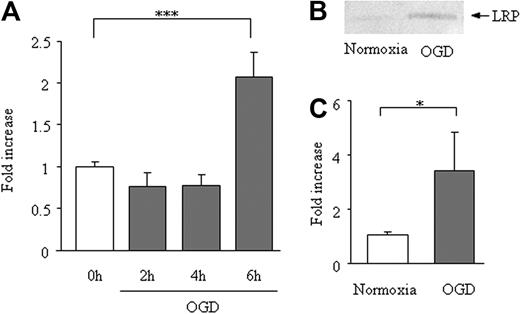 Figure 3. Effect of OGD on LRP expression in bEnd.3 cells. Expression LRP mRNA (A) and protein (B-C) on 6 hours of OGD of bEnd.3 cells. Data are shown as fold increase and represent mean ± SD of 5 (A) or 6 (B-C) experiments. *P < .05; **P < .01.