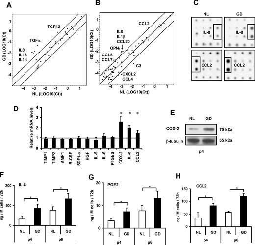 Figure 4. Inflammatory signal screening. (A) RT-PCR array results of genes encoding common cytokines. The log10 of the cycle threshold (Ct) were compared in a scatter plot, where circles in the top left represent genes with higher expression in Gaucher disease MSCs and circles in the bottom right represent genes with higher expression in normal MSCs. Cytokines not detected in either sample are not shown. (B) RT-PCR array results of genes encoding inflammatory cytokines. (C) Autoradiogram of relevant portions of “Human Cytokine Antibody Array 8” membranes, which screen 172 cytokines and cytokine receptors. (D) Relative mRNA levels of various genes important for MSC interactions with surrounding cells, in Gaucher disease MSCs compared with normal MSCs. (E) Scanned autoradiogram of a Western blot performed for COX-2 expression analysis on passage 4 MSCs, with β-tubulin expression used as a loading control on the same samples. (F-H) Secretion levels of IL-8, PGE2, and CCL2 by MSCs of different passages. *P < .05. All error bars represent 1 SD.