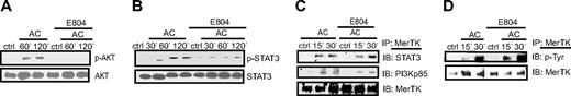 Figure 5. c-Src activation is an upstream event of PI3K and STAT3 activation. MerTK+/+ BMDCs were pretreated with E804 (10 nM) for 1 hour and incubated with ACs for indicated times. Whole-cell lysates were prepared to detect p-AKT, AKT, p-STAT3, and STAT3 via Western blot (A-B) or MerTK was immunoprecipitated with MerTK Ab and Western blots were probed for STAT3, PI3Kp85, p-Tyr, and MerTK (C-D).