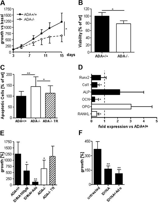 Figure 4. Defects in ADA−/− OB activity. (A) In vitro ADA−/− OBs grow significantly less than wild-type cells. *P = .005-.05. (B) Viability as assessed by the Alamar Blue staining is significantly lower in cultured ADA−/− OBs. (C) The percentage of apoptotic cells as assessed by annexin V+/7-amino-actinomycin D− staining is significantly higher in ADA−/− OBs but normalizes in cells transduced with a lentiviral vector encoding for ADA (ADA−/− TR). **P = .001-.005. (D) TaqMan gene expression analyses for osteoblastic differentiation markers Runx2, type 1 collagen, alkaline phosphatase, and osteocalcin as well as RANKL and OPG; fold expression versus wild-type (represented by dashed line), normalized for HPRT endogenous control; average of 3 independent experiments ± SD. (E) Growth of murine ADA+/+ OB after 12 days in vitro is reduced when cultured with EHNA (100 μM) and abolished when cultured with EHNA and adenosine (1 mM). ADA−/− OBs regain growth after lentiviral vector transduction. Growth as percentage of initially plated OBs ± SD. (F) Growth of human OB after 13 days of in vitro is reduced when cultured with EHNA (100 μM). **P < .01.