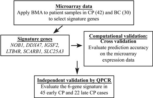 Figure 1. Experimental overview. A summary of our overall approach is shown. The merits of BMA include that the model is multivariate and considers multiple biomarkers simultaneously; that the uncertainty of gene selection is accounted for by averaging over multiple good models; that posterior probabilities are generated for all selected genes and models; and that it produces a high predictive accuracy with relatively few genes.