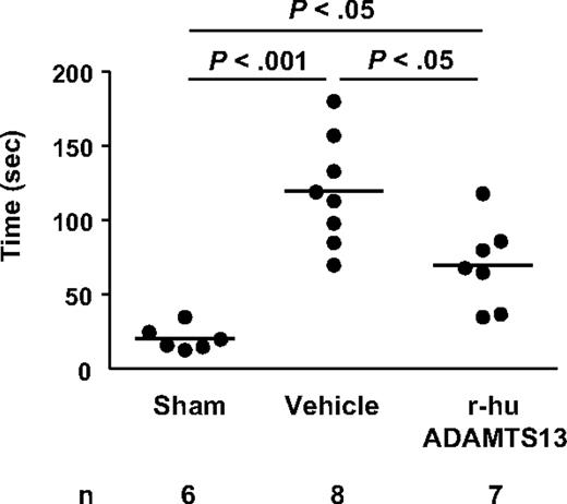Figure 4. r-hu ADAMTS13 improves performances in the tape removal test after ischemic stroke. Time needed to remove tapes from both the contralateral and ipsilateral paws was recorded on sham-operated mice and mice that underwent MCAO (1 hour) injected intravenously with r-hu ADAMTS13 or vehicle 10 minutes before reperfusion. Global differences between groups were found for each parameter (P < .05).