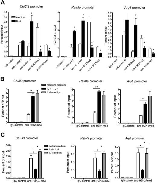 Figure 2. Dynamic epigenetic gene regulations in IL-4–induced M2-macrophages. (A) BMDMs were incubated with or without IL-4 for 2 days. ChIP assay was performed on the promoter regions of Chi3l3, Retnla, and Arg1 using indicated antibodies. (B-C) BMDMs were incubated with IL-4 for 2 days and then were cultured with (IL-4 continuous group) or without (IL-4 medium group) IL-4 for an additional 2 days. ChIP assay was performed on the promoter regions of M2 marker genes using antibodies for H3K4me3 (B) and H3K27me3 (C). Untreated cells were used as a baseline control (medium-medium group). Data are representative of 3 to 5 independent experiments and are expressed as mean ± SEM. *P < .05; **P < .01.
