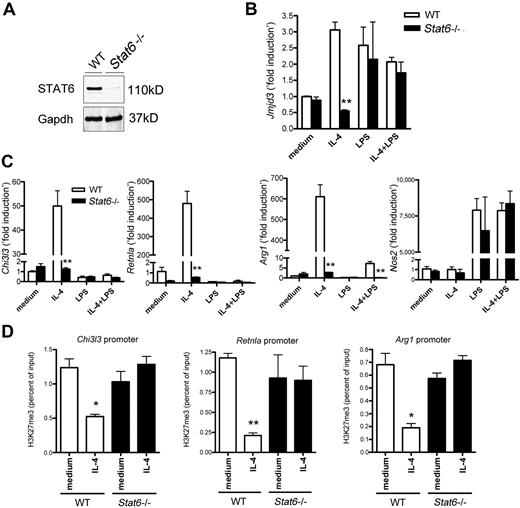 Figure 4. STAT6-dependent Jmjd3 induction in IL-4–induced M2-macrophages. (A) Immunoblotting for STAT6 in BMDMs from WT and Stat6−/− mice. Gapdh was used as a loading control. (B-C) The expression of Jmjd3 (B), Chi3l3, Retnla, Arg1, and Nos2 (C) in WT and Stat6−/− BMDMs was measured by quantitative RT-PCR after the indicated treatments. The data shown are “fold induction” relative to that in untreated WT cells. (D) Anti-H3K27me3 ChIP assay was performed on the promoter regions of M2 marker genes in WT and Stat6−/− BMDMs after IL-4 stimulation. Data are representative of 3 independent experiments and are expressed as mean ± SEM. *P < .05, **P < .01, compared with WT mice group (B-C) or unstimulated (medium alone) group (D).