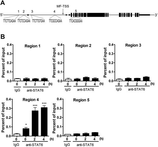 Figure 5. Direct control of Jmjd3 induction by STAT6. (A) The structure of mouse Jmjd3 gene (NM_001017426). Small boxes represent untranslated regions; larger boxes, coding regions. The putative STAT6-binding sites (regions 1-5) and their sequences are shown. MF-TSS indicates macrophages-transcriptional start site.28 (B) Anti-STAT6 ChIP assay was performed with primers surrounding STAT6-binding site–containing regions of Jmjd3 gene in BMDMs after IL-4 stimulation. Data are representative of 3 independent experiments and are expressed as mean ± SEM. *P < .05, ***P < .001, compared with IgG control.