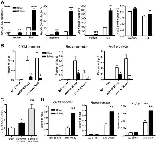 Figure 7. Epigenetic gene regulation of M2-macrophages from S mansoni egg–challenged mice in vivo. Naive mice were intraperitoneally injected with 1.7% sodium chloride solution alone (sham group) or with 5000 S mansoni eggs in 1.7% sodium chloride solution (Schisto group; ie, Schisto ip in naive mice group) for 7 days. (A) The peritoneal macrophages from Schisto and the sham control group were incubated with or without IL-4 for 6 hours. The expression of Chi3l3, Retnla, Arg1, and Nos2 was measured by quantitative RT-PCR. The data shown are “fold induction” relative to that in untreated cells from the sham group. (B) ChIP assay was performed to determine H3K27 methylation status on the promoter regions of Chi3l3, Retnla, and Arg1 in macrophages from both Schisto and sham groups. (C) Naive mice were intraperitoneally injected with 5000 S mansoni eggs (Schisto ip in naive group; ie, Schisto group). In addition, S mansoni–infected mice were intraperitoneally injected with 5000 S mansoni eggs (Schisto ipy in Schisto group). Jmjd3 mRNA levels in peritoneal macrophages from indicated group were measured by quantitative RT-PCR. The data shown are “fold induction” relative to that in cells from the sham group. (D) Anti-Jmjd3 ChIP assay was performed on M2 marker promoter regions in macrophages from Schisto and control groups. Data are represented as mean ± SEM of 8 to 10 mice per group. *P < .05, **P < .01, ***P < .001, compared with sham group.