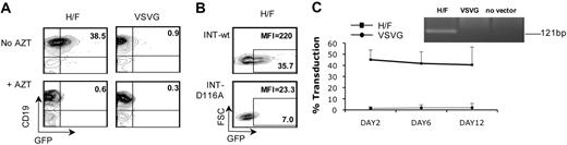 Figure 2. H/F-LVs allow genuine transduction of quiescent B cells. (A) Quiescent adult B cells were transduced with H/F-LVs (MOI = 10) or VSVG-LVs (MOI = 30) in the absence or presence of AZT. The dot plots show the percentage of GFP in the CD19+ population at day 2 after transduction. (B) Cells were transduced with an H/F-LV encoding a nonfunctional integrase (INT-D116A) or a wild-type integrase (INT-wt) at an MOI of 10. GFP expression and MFI are shown for day 2 after transduction. (C) Quiescent B cells were transduced with H/F-LVs (MOI = 10) or VSVG-LVs (MOI = 30). At day 2 after transduction, part of the B cells was continued on a monolayer of MS5 cells. GFP-expression in the B-cell (CD19+) population is indicated for day 2, day 6, and day 12 after transduction as analyzed by FACS (means ± SD; n = 3). A nested Alu-PCR on the DNA of transduced and nontransduced sorted CD19+ cells at day 12 of culture on MS5 cells was performed using specific primers (see “Alu-PCR”). The PCR-specific band corresponding to integrated vector sequence of 121 base pair is detected only in H/F-transduced B cells (graph inset).