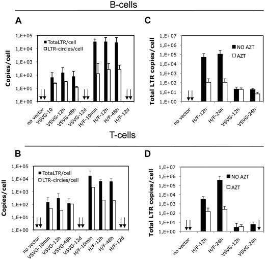 Figure 5. H/F-LV transduction of quiescent lymphocytes induces high levels of reverse-transcribed viral DNA. (A) Quiescent B and T cells were transduced with H/F and VSVG pseudotyped LVs at an MOI of 10 and 30, respectively. A time-course assay was performed to determine total-LTR content per cell and 2-LTR circles per cell present in VSVG-LV– and H/F-LV–transduced quiescent B cells at 10 minutes, 12 hours, 48 hours, and 12 days after transduction. The specific primers used are described in “DNA extraction and Q-PCR.” The total-LTR copies per cell and number of 2-LTR circles per cell are indicated in the y-axis (mean ± SD; n = 3). (B) Time-course assay for transduction of quiescent T cells was performed as in panel A. The total-LTR copies per cell and number of 2-LTR circles per cell are indicated in the y-axis (mean ± SD; n = 3). (C) Quiescent adult B cells were transduced with H/F-LVs (MOI = 10) or VSVG-LVs (MOI = 30) in the absence or presence of AZT. Total-LTR copies per cell present in VSVG-LV– and H/F-LV–transduced quiescent B cells at 12 and 24 hours is shown. The number of total-LTR copies per cell is indicated in the y-axis (mean ± SD; n = 3). (D) Time-course assay for transduction of quiescent T cells was performed as in panel C.