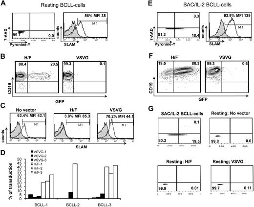 Figure 6. Novel H/F-LVs allow efficient gene transfer into quiescent and stimulated B-CLL cells. (A) B-CLL cells were verified for their cell-cycle state by simultaneously visualizing RNA content (pyronin-Y) and DNA content (7-AAD; left). SLAM surface staining of B-CLL cells on isolation was analyzed by FACS. Closed histograms represent staining with IgG isotype controls. The percentage of SLAM-expressing cells and MFI are indicated. Resting B-CLL cells were transduced with H/F-LVs and VSVG-LVs at an MOI of 10 and 50, respectively. At day 2 after transduction, GFP expression (B) and SLAM expression (C) were detected by FACS analysis. (D) Transduction of freshly isolated B-CLL cells from 3 different donors is shown. BCLL-1 and BCLL-3 cells were transduced with 3 different VSVG-LV and H/F-LV vector preparations as indicated, whereas for BCLL-2 only 1 vector prep was used for each vector type. (E) B-CLL cells were prestimulated for 48 hours with SAC/IL-2, and cell-cycle progression was monitored by pyronin-Y/7-AAD staining (left). Surface staining of SLAM by FACS is shown (right, open histogram). Closed histograms represent staining with IgG isotype controls. (F) SAC/IL-2 prestimulated B-CLL cells were transduced with H/F-LVs and VSVG-LVs at an MOI of 10 and 50, respectively. The plots show GFP expression of CD19+-transduced cells at day 2 after transduction. (G) Resting B-CLL cells were transduced with H/F-LVs and VSVG-LVs at an MOI of 10 and 50, respectively. At day 2 of transduction, B-CLL cells were verified for their cell-cycle state by simultaneously visualizing RNA content (pyronin-Y) and DNA content (7-AAD).