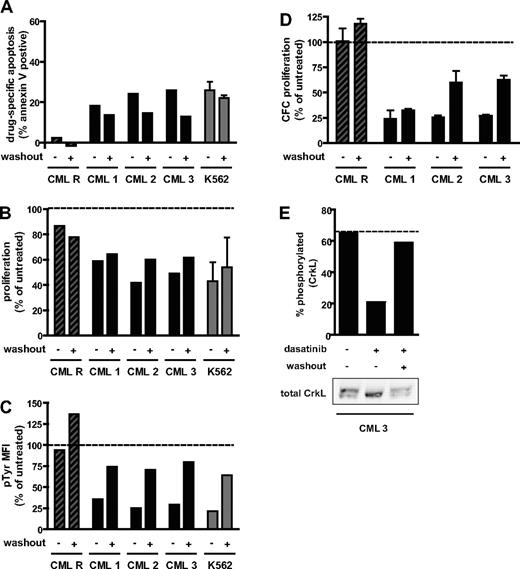 Figure 3. Response of primary CML progenitor cells to treatment duration with dasatinib. Progenitor cells isolated from 3 chronic-phase CML patients (CML 1-3) and a blast-crisis CML patient with 100% Bcr-AblT315I (CML R) were cultured in 100 nM dasatinib with (+) or without (−) washout at 4 hours, as indicated, or in the absence of dasatinib as an untreated control. K562 cells were treated identically to primary cells for comparison (gray bars, mean ± SEM from 2 independent experiments). (A) Percentage annexin V+ cells at 72 hours. Drug-specific apoptosis was calculated by subtracting the percentage annexin+ cells in the untreated arm. (B) Proliferation over 72 hours calculated as the fold expansion of viable cells during the 72-hour culture period, expressed as a percentage of untreated control. For K562, mean ± SEM of 2 independent experiments is reported. (C) Bcr-Abl activity at 24 hours, as measured by total phosphotyrosine level per cell and expressed as a percentage of the level in untreated cells. MFI indicates mean fluorescence intensity. (D) Proliferation of granulocyte/macrophage colony-forming cells. The number of cells at 72 hours that could lead to colony formation were enumerated and expressed as a percentage of untreated control. Colony-forming cell number was assayed in triplicate and mean ± SEM reported. (E) Bcr-Abl activity at 24 hours in CML 3 as assayed by CrkL phosphorylation. Western blot of total CrkL (bottom panel) showing phosphorylated (top band) and unphosphorylated (bottom band) forms. Top and bottom bands were quantified and the percentage phosphorylated plotted. (B-E) Dotted line represents the value for the untreated control.