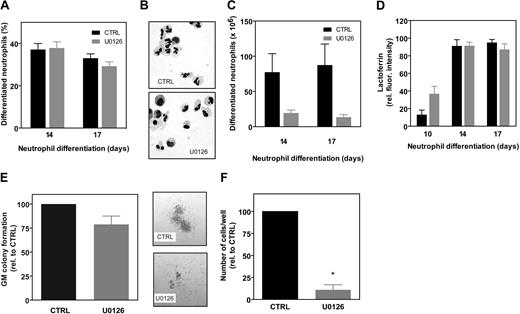 Figure 3. ERK MAPK activity is not required for myeloid differentiation of hematopoietic progenitor cells. (A-C) CD34+ cells were cultured either in the presence of G-CSF to induce neutrophil differentiation or in the absence of 5 μM U0126. (B) After 14 and 17 days of culture, cytospins were prepared and stained with May-Grünwald-Giemsa solution. Data were expressed as either (A) the percentage of differentiated cells or (C) the absolute cell numbers. Data were expressed as the percentage of differentiated neutrophils. (D) Lactoferrin expression was analyzed by FACS to determine neutrophil development. (E) Freshly isolated CD34+ progenitor cells were plated in CFU assays, either in the presence or in the absence of 5 μM U0126, and colony formation was analyzed after 12 days. (F) Freshly isolated CD34+ progenitor cells were plated in CFU assays, either in the presence or in the absence of 5 μM U0126, and absolute cell numbers of total GM colonies were analyzed after 12 days. Results are presented as means of 4 independent experiments. Error bars represent SEMs.