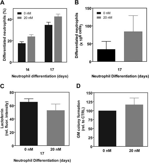 Figure 5. Conditional activation of MEK1 does not affect terminal differentiation of neutrophil progenitors. (A-B) CD34+ cells were transduced with MEK1:ER*, sorted by FACS from the nontransduced cells, and differentiated to neutrophils in the presence or absence of 4-OHT. After 3 days of culture, cells were washed and resuspended in normal culture medium containing G-CSF. After 14 and 17 days of differentiation, cytospins were prepared, and the morphology of the cells was analyzed by May-Grünwald-Giemsa staining. Data were expressed as either (A) the percentage of differentiated cells or as (B) the absolute cell numbers. Data were expressed as the percentage of differentiated neutrophils. (C) Lactoferrin expression was analyzed by FACS to determine neutrophil development. (D) CD34+ cells, transduced with MEK1:ER*, were sorted by FACS from the nontransduced cells and plated in CFU assays, either in the presence or absence of 20 nM 4-OHT, and colony formation was analyzed after 12 days. Results are presented as means of 4 independent experiments. Error bars represent SEMs.