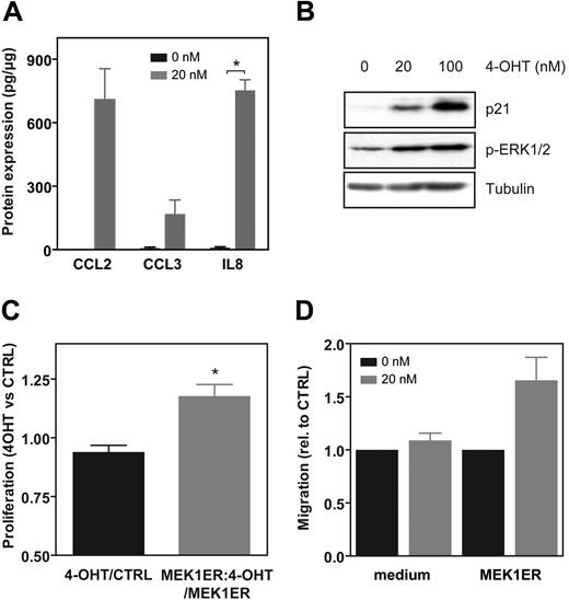 Figure 6. Differential expression of MEK1 target genes. (A) CD34+ hematopoietic progenitor cells, transduced with MEK1:ER*, were cultured in the presence of G-CSF to induce neutrophil differentiation. Two days after transduction, eGFP-positive cells were separated from the nontransduced cells by FACS and resuspended in culture medium containing G-CSF and IL-3. After 6 days of differentiation, cells were washed twice with PBS and starved overnight in the absence of cytokines and in the presence of 0.5% FCS. Subsequently, cells were incubated with 0 or 20 nM 4-OHT for 12 hours; supernatants were collected; and IL-8, CCL2, and CCL3 protein expression was determined by using Luminex multiplex analysis as described in “Analysis of differential gene expression in response to MEK1 activation.” Results are presented as the means of 2 or 3 independent experiments. Error bars represent SEMs. (B) Protein lysates were prepared from CD34+ cells transduced with MEK:ER* and treated with solvent, 20 or 100 nM of 4-OHT overnight. Western blot analysis was performed with an antibody against p21Cip1, phosphorylated ERK1/2, or tubulin as a control for equal loading. (C) CD34+ cells, either transduced with MEK1:ER* or left untreated, were differentiated toward neutrophils in the presence of G-CSF. After 6 days of culture, cells ectopically expressing MEK1:ER* were washed and resuspended in culture medium either in the presence or absence of 4-OHT to prepare conditioned medium. After 7 days of culture, untreated control granulocyte progenitors from the same donor were resuspended in either conditioned medium or culture medium containing 4-OHT as a control. Proliferation over a 3-day period was determined by cell counting. (D) CD34+ cells, either transduced with MEK1:ER* or left untreated, were cultured in the presence of G-CSF to induce neutrophil differentiation. After 6 days of culture, cells ectopically expressing MEK1ER were washed and resuspended in culture medium either in the presence or in the absence of 4-OHT. A transwell migration was performed with untreated control granulocyte progenitors from the same donor in response to conditioned MEK1ER medium or as a control culture medium with or without 4-OHT. The assays were performed for 4.5 hours, after which the percentage of migration was determined by FACS analysis. Data were expressed as an average of 4 individual experiments. Error bars represent SEMs.