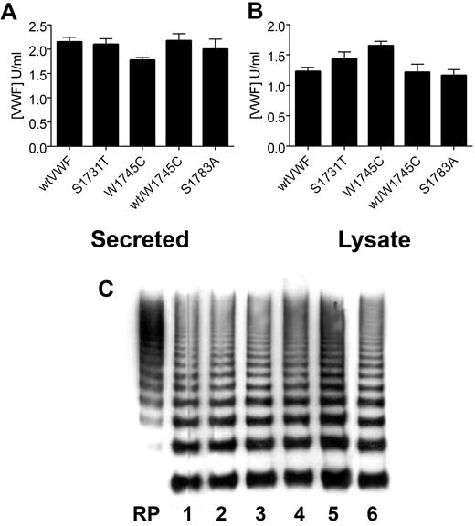 Figure 3. Expression of recombinant VWF mutants. Recombinant wt and mutant VWF were transiently expressed in HEK293T cells, and VWF ELISA was used to determine the concentration of secreted VWF (A) and VWF retained within the cell lysate (B). Error bars represent mean ± SD of 3 separate experiments each performed in duplicate. (C) The multimer composition of recombinant VWF was analyzed in 1.3% agarose gels and visualized with HRP-conjugated anti-VWF polyclonal antibodies. RP indicates reference plasma. Lane 1 indicates wt-rVWF; lane 2, S1731T; lane 3, W1745C; lane 4, W1745A; lane 5, wt/W1745C; lane 6, S1783A. All mutants are expressed at similar levels to wild-type rVWF, with similar supernatant to lysate ratios and normal multimer distribution.