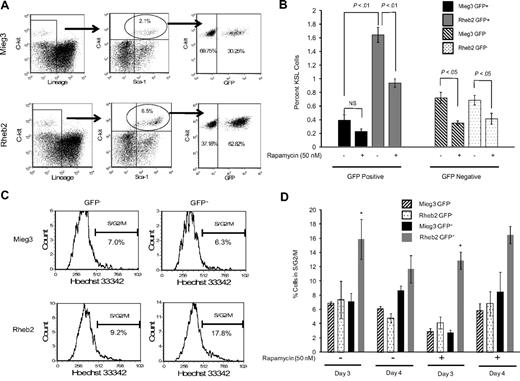 Figure 4. Rheb2 overexpression expanded phenotypic HSC (KSL) cells in vitro and increased cell cycling. (A) Representative FACS plots of KSL cells in cultures of Rheb2- and Mieg3-transduced mBM cells. (B) Tabulated data from 2 experiments, each done in duplicate 4 days after transduction (mean ± SEM). (C-D) Representative histograms showing cell cycling of Mieg3- and Rheb2-transduced KSL cells and tabulated data from duplicate cultures; mean ± SD. *P < .05. Rheb2 GFP+ fraction compared with Mieg3 GFP+ fraction in panel D.