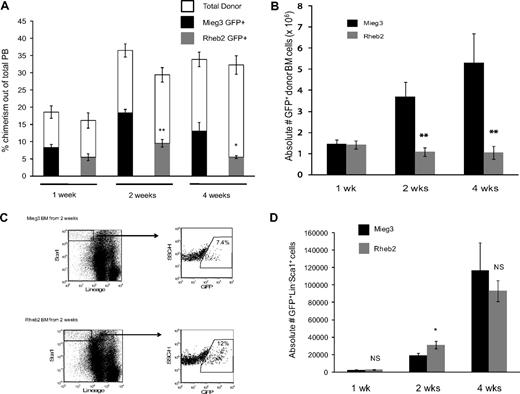 Figure 5. Rheb2 overexpression impaired total donor cell engraftment but transiently expanded phenotypic stem/progenitor cells in vivo in short-term competitive repopulation experiments. (A) PB chimerism of transduced GFP+ donor (CD45.2+) cells and total donor (CD45.2+) cells in recipient animals (at least 5 animals in each group at each time point; mean ± SEM). (B) Chimerism of absolute numbers of transduced GFP+ donor cells (CD45.2+) in the BM of recipients (at least 5 animals in each group at each time point; mean ± SEM). (C) Representative FACS plots showing the percentage of GFP+ cells within the immature LS population in recipient animals at 2 weeks after transplantation. (D) The absolute numbers of GFP+LS cells in the BM of recipients (at least 5 animals in each group at each time point; mean ± SEM). *P < .05. **P < .01. NS indicates not significant.