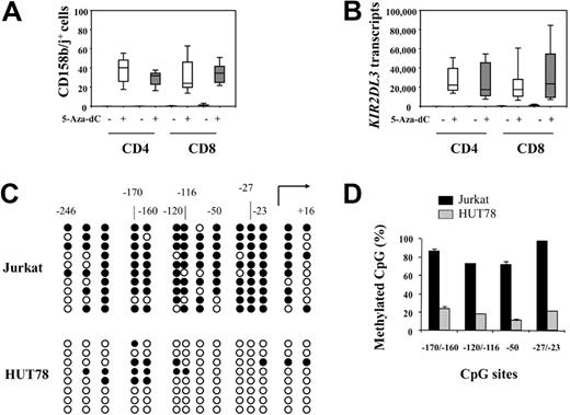 Figure 2. KIR2DL3 expression in T cells is controlled by DNA methylation. CD4 and CD8 T cells were isolated from 20- to 30-year-old persons (n = 13; □) and 70- to 85-year-old persons (n = 12; ▩), activated by CD3/CD28 beads for 72 hours, and then cultured in the absence or presence of 1 μM 5-Aza-dC for an additional 72 hours. CD158b/j surface expression was analyzed by flow cytometry (A) and KIR2DL3 transcripts were quantified by real-time PCR and are given relative to 107 β-actin transcripts (B). Methylation of CpG sites in the KIR2DL3 core promoter in CD158b/j− Jurkat cells and CD158b/j+ HUT78 cells were analyzed by bisulfite sequencing. Each row represents an individual subclone; nucleotide positions are relative to the translation initiation codons. Closed symbols indicate methylated, open symbols unmethylated, CpG (C). DNA methylation levels at CpG −170/−160, −120/−116, −50, and −27/−23 were quantified for Jurkat and HUT78 cells by methylation-specific real-time PCR with the use of 3′-locked nucleic acid primers (D). Results are shown as mean ratio ± SD of methylated DNA versus total copies and are representative of 3 experiments.