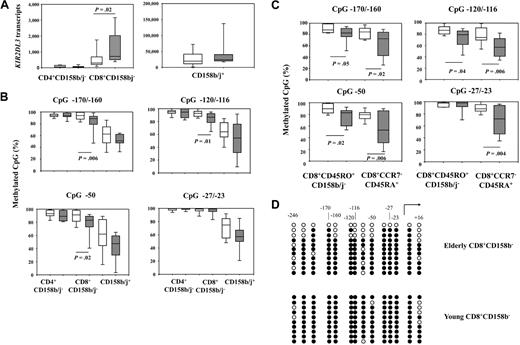 Figure 4. Age-associated demethylation of KIR2DL3 core promoter precedes transcription. DNA methylation was quantified by qPCR in CD158b/j− CD4 and CD8 T cells and in CD158b/j+ T cells. (A) KIR2DL3 transcripts were low in CD158b/j− (18 young and 14 elderly persons) compared with CD158b/j+ T cells (13 young and 12 elderly persons) irrespective of age, although a slight age-associated increase for CD8 T cells was seen. (B) Results for methylation-specific PCR of CpG sites −170/−160, −120/−116, −50, and −27/−23 in CD4 and CD8 T cells negative for CD158b/j cell-surface expression were compared with CD158b/j+ T cells; results are shown as box plots of 15 young (□) and 15 elderly (▩) persons. (C) CD8+CD45RO+CD158b/j− and CD8+CCR7−CD45RA+ from 10 young and 10 elderly persons were compared for demethylation of the KIR2DL3 promoter. (D) The methylation of the KIR2DL3 promoter in CD158b/j− CD8 T cells was examined by bisulfite sequencing. Closed symbols represent methylated, open symbols unmethylated, CpG. A representative example of an elderly and a young person is shown.