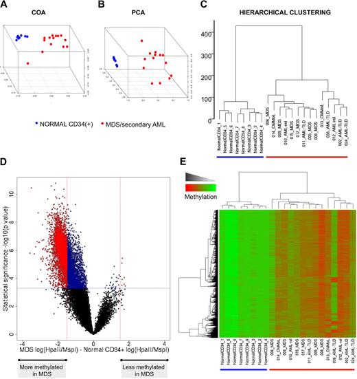 Figure 1. MDS displays marked aberrant promoter DNA methylation. (A-C) Unsupervised clustering analysis of 14 MDS samples and 8 CD34+ normal controls with the use of 3 different algorithms: COA, PCA, and hierarchical clustering. (D) A plot of methylation difference between MDS cases and normal CD34+ controls (x-axis) versus statistical significance (y-axis) shows the marked asymmetry of the 2 branches, illustrating the overall tendency to higher methylation levels in the MDS cases. Red points mark probe sets that reached both criteria for differential methylation on our analysis [P < .0005 and absolute fold change in log(HpaII/MspI) > 1.5), whereas blue points mark probe sets that reached statistical significance but did not have an absolute change in log(HpaII/MspI) greater than 1.5. (E) Two-dimensional hierarchical clustering of genes differentially methylated between MDS and normal CD34+ controls, illustrated by a heatmap. Cases are represented in the columns and probe sets in the rows.