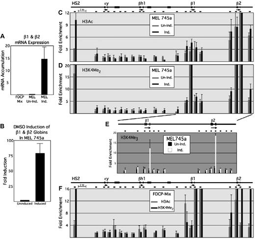 Figure 1. Histone modifications across the β-globin locus in MEL745a and FDCP-Mix cells. The murine β-globin locus is depicted to scale as a line at the top, with the 4 developmentally regulated β-globin genes labeled over black arrows, and exons represented by black bars on the line. Unlabeled, thicker black bars on the line represent β-globin pseudogenes. HS2 indicates hypersensitive site 2 of the locus control region (LCR). Black bars below the line depict the locations of PCR amplimers used in the ChIP assay, which is shown in turn in bar graph format for each of the antibodies used for IP. (A) Quantitative RT-PCR of combined β1- and β2-globin mRNA expression levels relative to 18s mRNA in FDCP-Mix, and in both uninduced (Un-Ind.) MEL745a and MEL745a induced with 2% DMSO for 72 hours (Ind.). (B) Fold induction of β1- and β2-globin mRNA expression levels in MEL745a on culture in 2% DMSO for 72 hours, relative to uninduced MEL745a. (C) Bar graph depicting H3Ac and (D) H3K4 dimethyl enrichment levels, relative to inactive gene loci (“ChIP”), in both uninduced (Un-ind.) and induced (Ind.) MEL745a. The positions of each bar correspond to the positions of the corresponding amplimers shown to scale at the top. (E) H3K4 trimethyl enrichment levels, relative to inactive gene loci, for uninduced and induced MEL745a. (F) H3Ac and H3K4 dimethyl enrichment levels for FDCP-Mix.