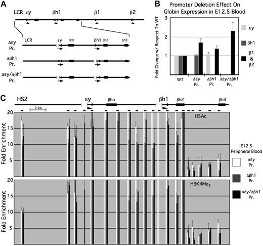 Figure 4. Histone modifications within the β-globin locus in primitive erythroblasts from mice harboring deletions of the ϵy- and/or βh1-globin gene promoters. Histone modification patterns and mRNA expression levels were analyzed in E12.5 peripheral blood from mice homozygous for the deletion of either one (Δϵy Pr. and Δβh1 Pr.) or both (Δϵy/Δβh1 Pr.) of the embryonic globin gene promoters. (A) Schematic of the β-globin locus showing a closer view of the regions being analyzed and the location of each deletion. (B) Globin expression levels using quantitative RT-PCR. Values are standardized to 18S mRNA levels and are presented as the fold change with respect to the levels seen in wild-type mice. (C) Enrichments for H3Ac (top) and H3K4 dimethyl (bottom) at the indicated locations within the β-globin locus in E12.5 blood from the indicated embryonic promoter deletion mice.