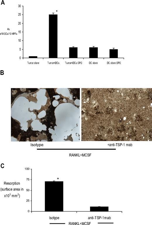 Figure 5. Role of RANK-RANKL pathway. (A) Tumor cells were cocultured with immature DCs at a tumor/DC ratio of 1:100 in methylcellulose cultures with or without OPG (0.5 μg/mL). Cultures of DCs alone with or without OPG were used as controls. Cells were harvested for cytospins onto poly-l-lysine–coated slides after an incubation of 2 weeks. Cells were stained for CD11c, CD138, and DAPI as described previously for enumeration of MGCs. *P < .05. (B) Von Kossa staining of monocyte-derived OCLs cultured in the presence of RANKL and M-CSF with or without TSP-1 antibody over BioCoat osteologic discs. Appearance of resorbed bone (pits) is shown. Original magnification, ×10. (C) Quantitative analysis of resorbed bone area mediated by monocyte-derived OCLs cultured with or without anti–TSP-1 mab on osteologic discs. *P < .05.