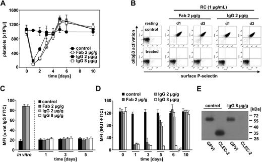 Figure 3. INU1 induces the loss of CLEC-2 in circulating platelets in vivo. (A) Mice received the indicated amounts of purified IgG or Fab fragments of INU1 intravenously in 200 μL sterile PBS, and platelet counts were determined by flow cytometry at the indicated time points. Results are expressed as the mean platelet count ± SD for 4 mice per group and are representative of 3 individual experiments. Parallel analyses on an automated cell analyser (Sysmex) yielded similar results (not shown). (B) Two-color flow cytometric analysis of integrin αIIbβ3 activation (JON/A-PE) and P-selectin exposure (FITC) in platelets from mice 1 or 3 days after INU1-IgG or INU1-Fab injection. Diluted whole blood was stimulated with 1 μg/mL rhodocytin (RC). The data are representative of 8 mice per group. (C) Mice were injected with the indicated amounts INU1-IgG or INU1-Fab, and surface-bound IgG or Fab was detected by flow cytometry using anti–rat IgG-FITC. Maximal binding was determined by incubating platelets from untreated mice with INU1-IgG or INU1-Fab (10 μg/mL) in vitro. (D) INU1-FITC binding to platelets from the indicated mice. Results are expressed as mean fluorescence intensity (MFI) ± SD (C-D). (E) Immunoprecipitation of CLEC-2 and GPVI from surface-biotinylated platelets from control and INU1 (8 μg/g)–treated mice on day 5 under reducing conditions.