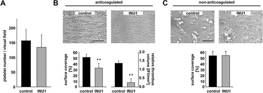 Figure 5. CLEC-2–deficient platelets fail to form stable aggregates under flow. Whole blood from control or INU1-treated mice (8 μg/g, day 5) was perfused over a collagen-coated surface (0.2 mg/mL) at a shear rate of 1700s−1. (A) Platelet adhesion on collagen after 30 seconds, indicated as number of platelets per visual field. (B) Aggregate formation on collagen after 4-minute perfusion time under anticoagulated conditions. (Top) Representative phase-contrast images. Bar represents 100 μm. (Bottom) Mean surface coverage (left) and relative thrombus volume expressed as integrated fluorescence intensity (IFI) per square millimeter (right) ± SD of 6 mice per group; **P < .01. (C) Aggregate formation on collagen after 4-minute perfusion time under nonanticoagulated conditions. (Top) Representative phase-contrast images. Bar represents 100 μm. (Bottom) Mean surface coverage ± SD of 6 mice per group.