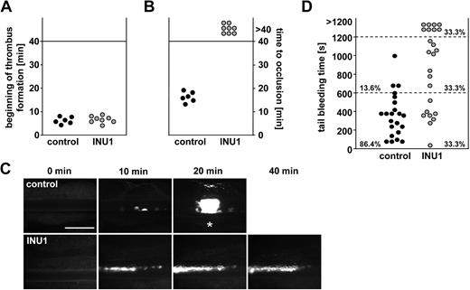 Figure 6. Defective thrombus formation and prolonged bleeding times in CLEC-2–deficient mice. Mice received vehicle or INU1 (8 μg/g) and were analyzed after 5 days. (A-C) Mesenteric arterioles were injured with FeCl3, and adhesion and thrombus formation of fluorescently labeled platelets were monitored in vivo by fluorescence microscopy. (A) Time to appearance of first thrombus larger than 10 μm and (B) time to vessel occlusion are shown. Each symbol represents 1 individual. (C) Representative images are depicted. Bar represents 50 μm. Each symbol represents 1 individual. * indicates occlusion of the vessel. (D) Tail bleeding times in control and CLEC-2–deficient mice. Each symbol represents 1 individual.
