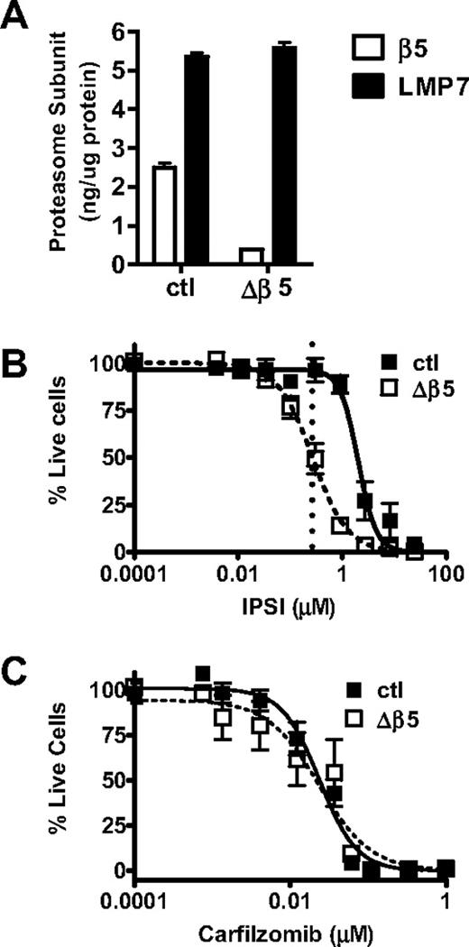 Figure 5. Inhibition of LMP7 is sufficient to cause an antitumor effect in Δβ5 HS-Sultan cells. (A) HS-Sultan cells transduced with a control shRNA-expressing (ctl) or β5-targeting shRNA vector (Δβ5) were profiled for LMP7 and β5 expression. Control (■) or Δβ5 (□) HS-Sultan cells were treated with a 1-hour pulse dose escalation of IPSI (B) or carfilzomib (C), and cell viability was measured at 24 hours. Mean ± SD are shown (n = 24). For IPSI (B), the dotted line represents the LMP7-selective dose (0.27 μM) described in Figure 3.