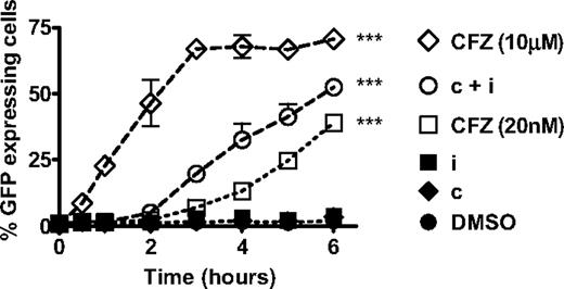 Figure 6. Inhibition of the CT-L subunits leads to rapid accumulation of short-lived proteins. HS-Sultan cells transfected with GFPu were treated with 10 μM carfilzomib (CFZ 10 μM), 0.18 μM CPSI + 0.27 μM IPSI (c + i), 20 nM carfilzomib (CFZ 20 nM), 0.27 μM IPSI (i), 0.18 μM CPSI (c), and DMSO for 1 hour, washed, incubated in compound-free media, and harvested at the indicated times for monitoring fluorescence by flow cytometry. Mean ± SD are shown for 2 independent experiments using 2 separate clones. Two-way analysis of variance was performed and compound treatments resulting in statistically significant differences compared with DMSO treatment group (as determined by Bonferroni post-hoc testing): ***P < .001.